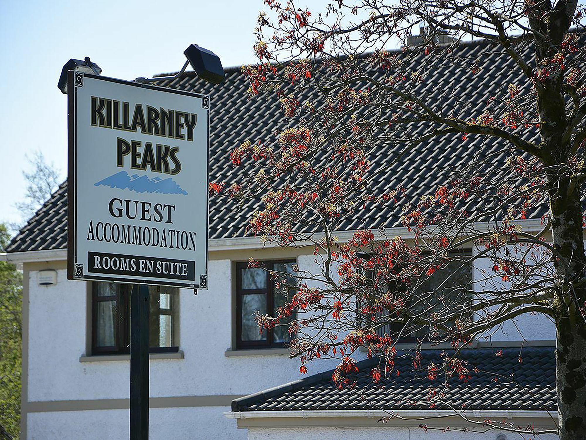 Killarney Peaks Guesthouse Екстериор снимка